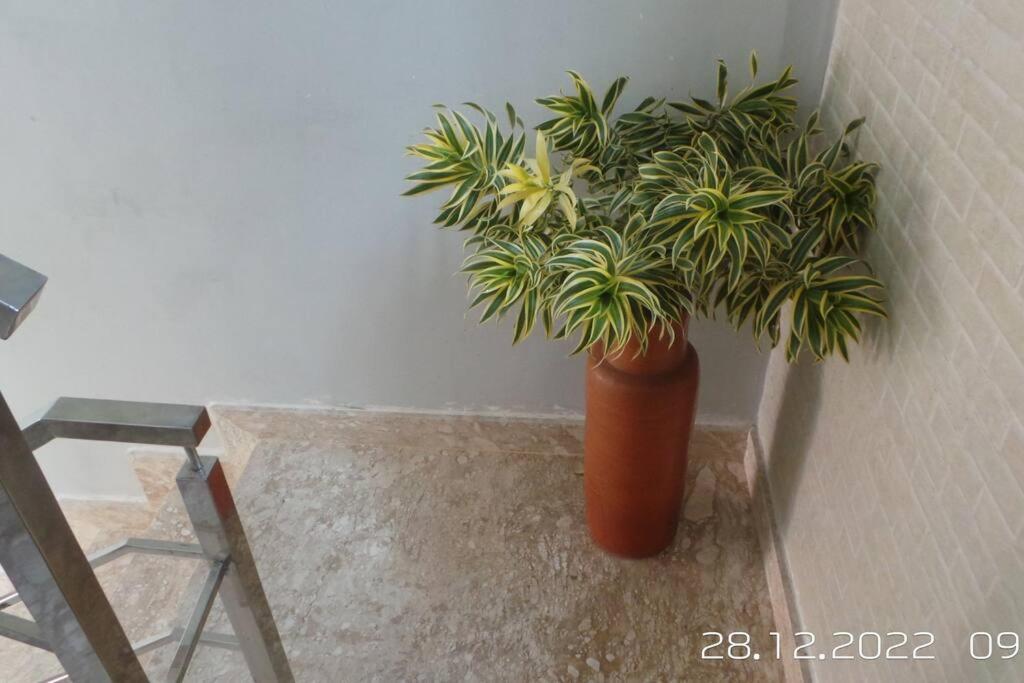 CamaçariExcelente Casa Com Piscina别墅 外观 照片